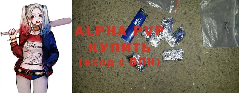 Альфа ПВП СК КРИС Дигора