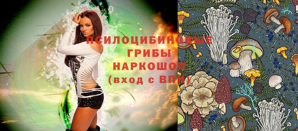 mix Бородино