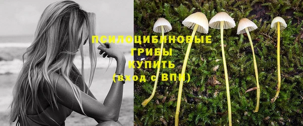 соль курить ск Вязьма