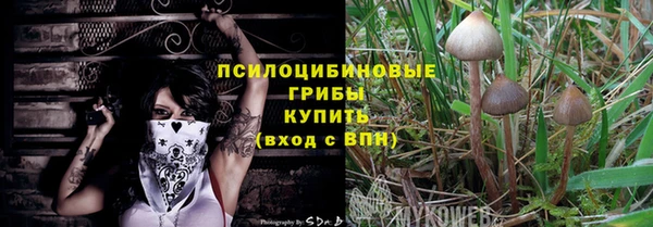 apvp Вязники