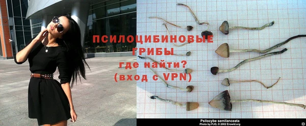 apvp Вязники