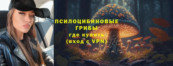 бутират Вяземский