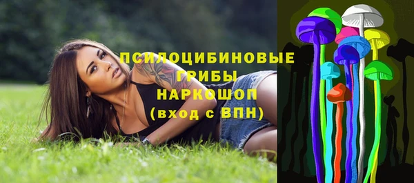 apvp Вязники
