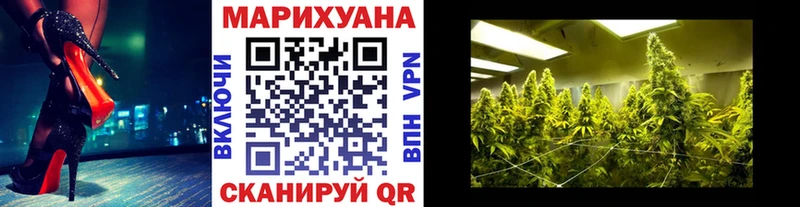 Бошки Шишки план  omg рабочий сайт  Дигора 